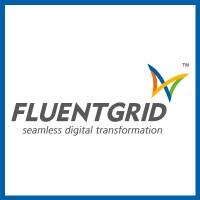 FLUENT GRID